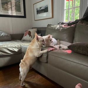 Meet your Posher, Michele